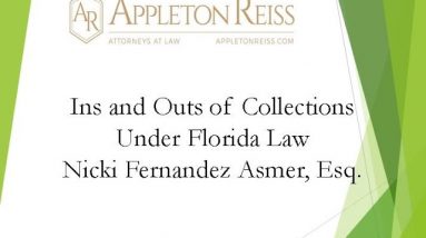 Ins & Outs of Collections Under Florida Law Webinar