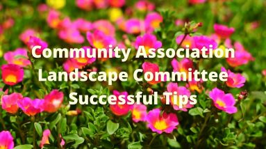 Community Association Landscape Community Tips