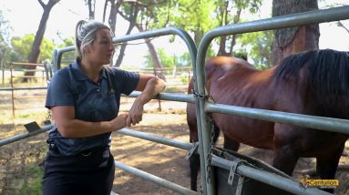 Property Management - Rural and Semi-rural areas