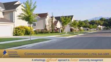 Self-Managing Your HOA? 4 Self-Managing Your HOA?
