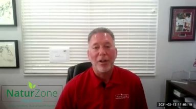 Why I Love BMI by Robert Jackson of NaturZone Pest Control