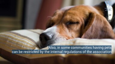 Common Homeowner Concerns in HOAs | HOA Association Management | Charlotte NC
