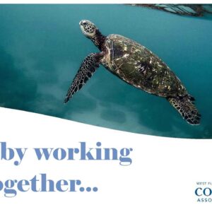 CAI West Florida Chapter 2020 Year in Review