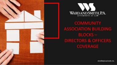 Community Association Building Blocks - Directors and Officers Insurance
