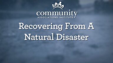 How to Recover After a Natural Disaster