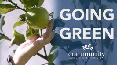 How a San Diego community is going green